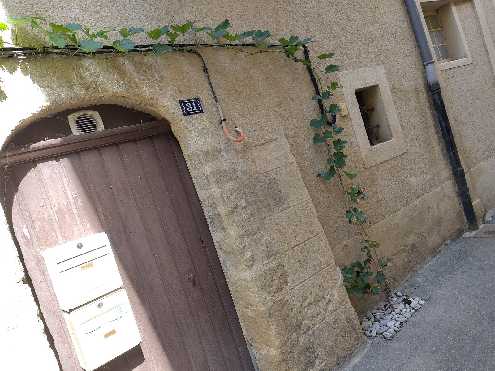 IMG_20240917_142822 2022 PAYSAGE PC CATALPA www.becatalpa.com