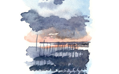 Du paysage à la plomberie, un même cycle : celui de l’eau